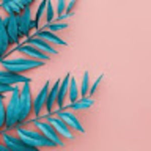 Meet your Posher, Simone